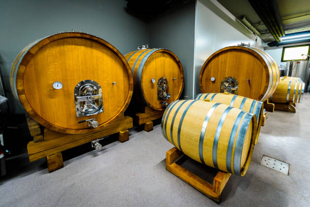 istock Wooden wine barrels stacked in modern winery cellar in Spain. 1128899191