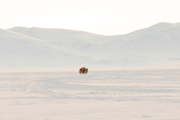 Horses pulling sleigh in winter - Cildir Lake, Kars