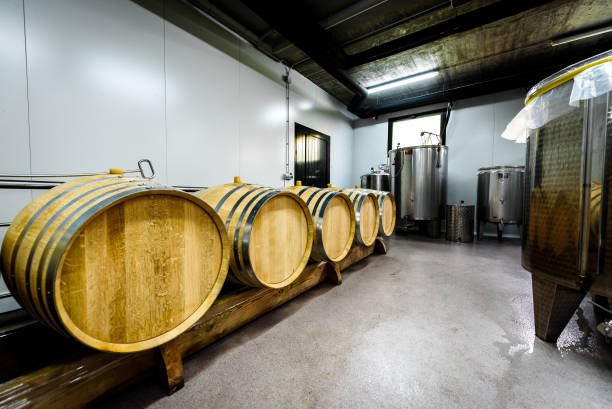 istock Wooden wine barrels stacked in modern winery cellar in Spain. 1128899240