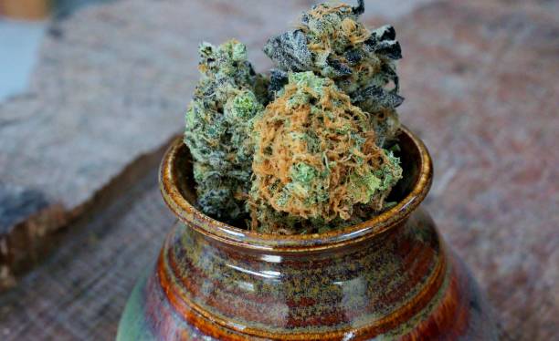 istock Variety of cannabis buds in ceramic vase 1128899320