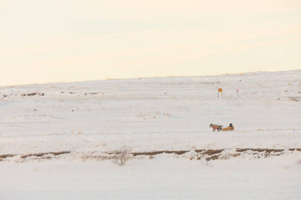 istock Horses pulling sleigh in winter - Cildir Lake, Kars 1128899555