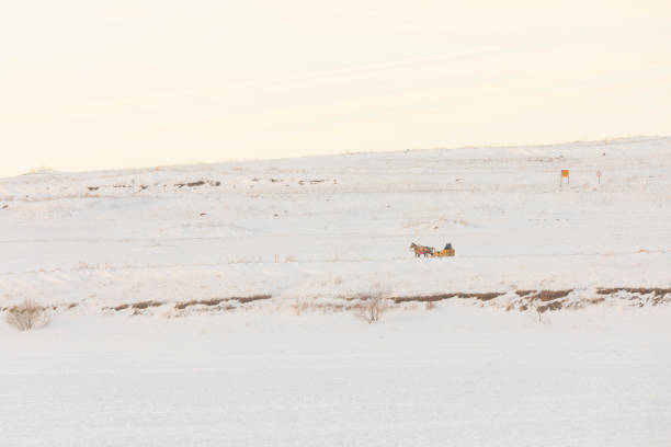 istock Horses pulling sleigh in winter - Cildir Lake, Kars 1128899651