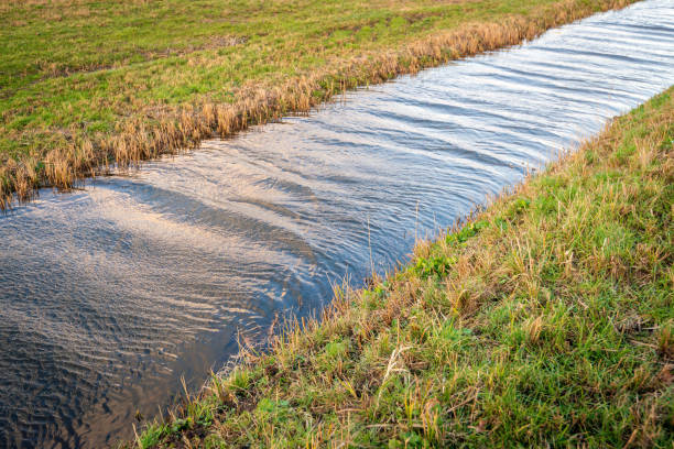 ditch with recently mowed grass on the shore - ripple nature water close to imagens e fotografias de stock