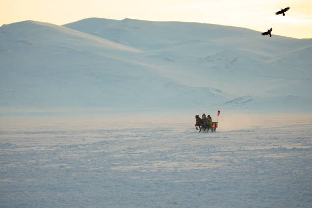 istock Horses pulling sleigh in winter - Cildir Lake, Kars 1128902475