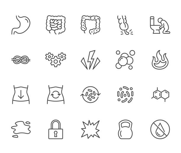 Symptoms of abdominal disease flat line icons set. Stomach pain, appendicitis, heartburn, spasm, diarrhea vector illustrations. Thin signs digestion for digestion. Pixel perfect 64x64 Editable Stroke Symptoms of abdominal disease flat line icons set. Stomach pain, appendicitis, heartburn, spasm, diarrhea vector illustrations. Thin signs digestion for digestion. Pixel perfect 64x64. Editable Stroke blood and guts stock illustrations