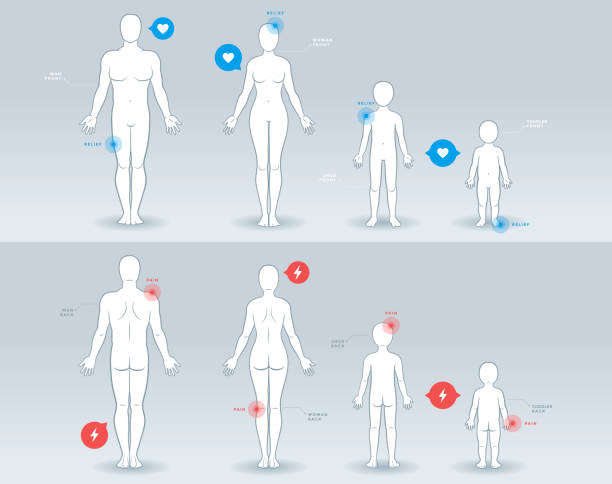 People silhouettes for medical uses Man, woman, child and toddler vector silhouettes, front and back view, with medical infographics elements kid body parts stock illustrations