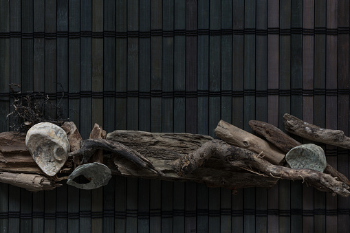 Dark marine composition of driftwood and seashells on a wooden bar.
