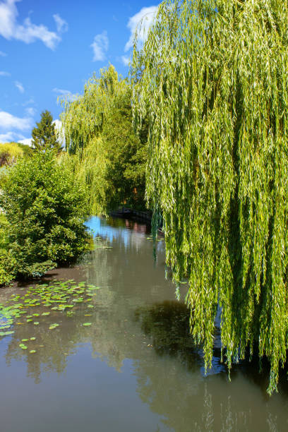 istock Amiens. Shore of the Somme River 1128905412