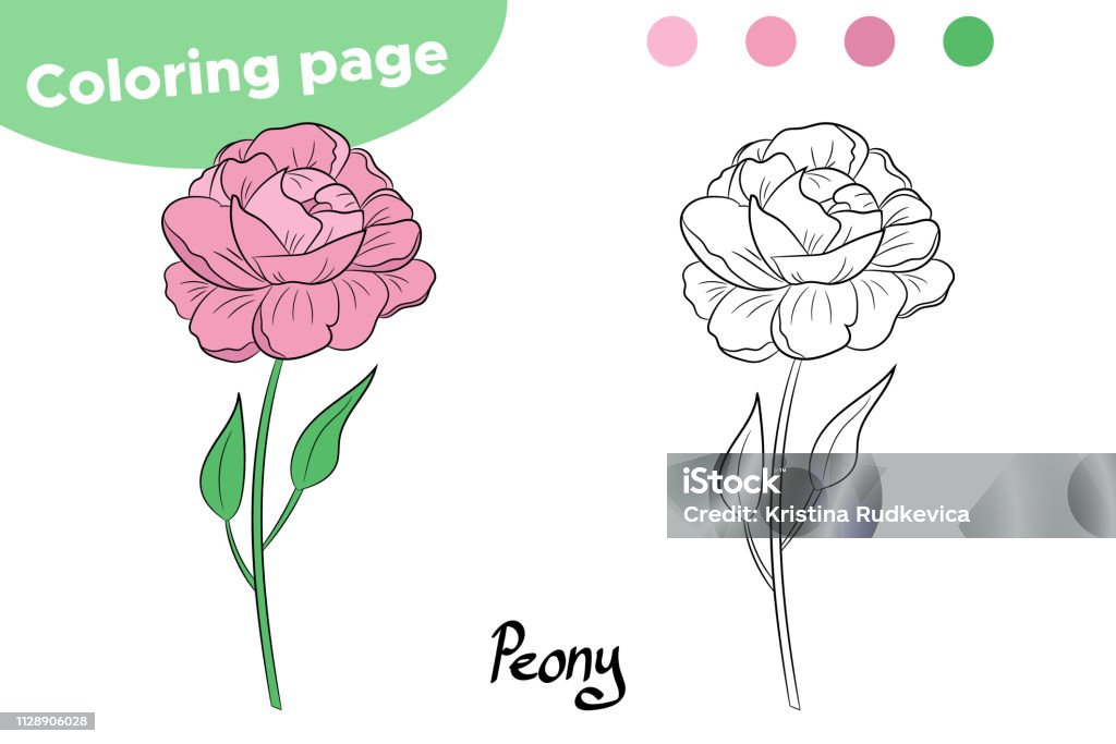 Basic RGB Coloring page for kids. Spring flower Peony. Hand drawn. Vector illustration Art stock vector