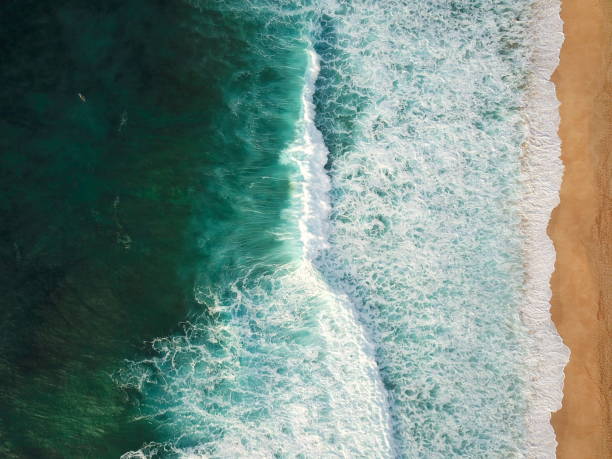 istock Waves on Shallow reef of Banzai Pipeline 1128907041