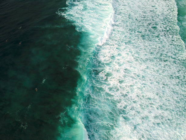 istock Waves on Shallow reef of Banzai Pipeline 1128907045