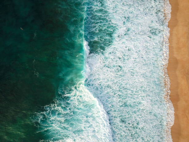 istock Waves on Shallow reef of Banzai Pipeline 1128907046