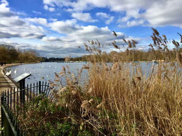 istock Serpentine lake in London 1128910605