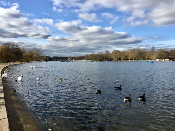 istock Serpentine lake in London 1128910633