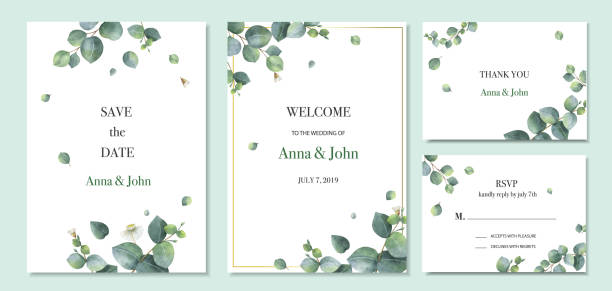 ilustrações, clipart, desenhos animados e ícones de aquarela vetor definido projeto de modelo de cartão de convite de casamento com folhas de eucalipto verde. - wedding card