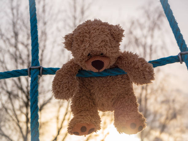 istock Teddy bear hangs in a climbing rope, left behind stuffed animal 1128914733
