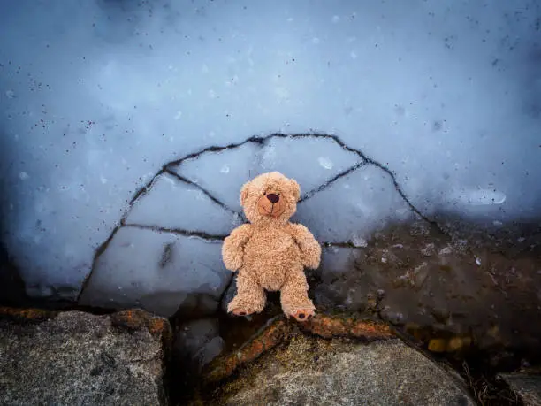 Stuffed animal, toys, accident, child, water, frozen,