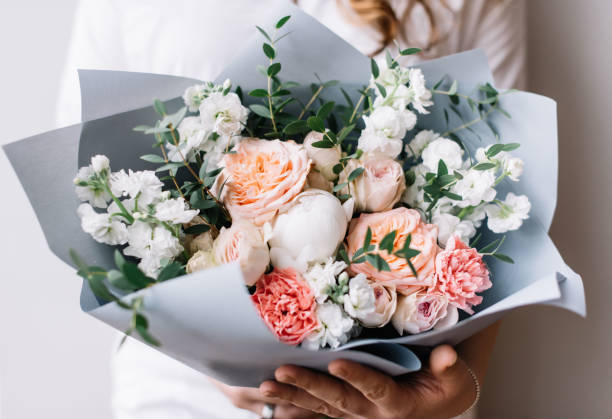 very nice young woman holding a beautiful blossoming flower bouquet of fresh mattiolas, roses, peony, carnations, eucalyptus in pastel pink colour on the grey wall background - flower head bouquet built structure carnation imagens e fotografias de stock