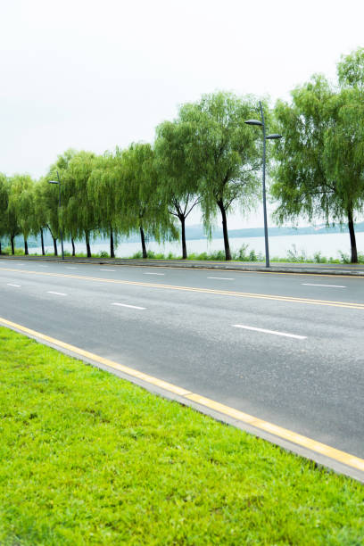 istock Willow tree on the bank of river 1128917463