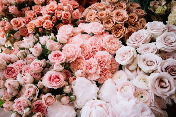 bella consegna fresca di fiori in fiore nel negozio di fiori: diverse rose, garofani, peonia di colore sfumato dal rosa all'arancione vivido come un'aiuola, vista dall'alto, posa piatta - flower head bouquet built structure carnation foto e immagini stock