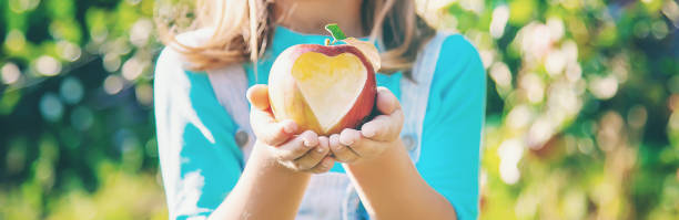dziecko z dzieckiem z jabłkiem. selektywne skupienie. - apple eating little girls green zdjęcia i obrazy z banku zdjęć