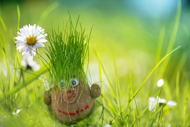 Garden Gnome – selfmade from grass seeds and sock