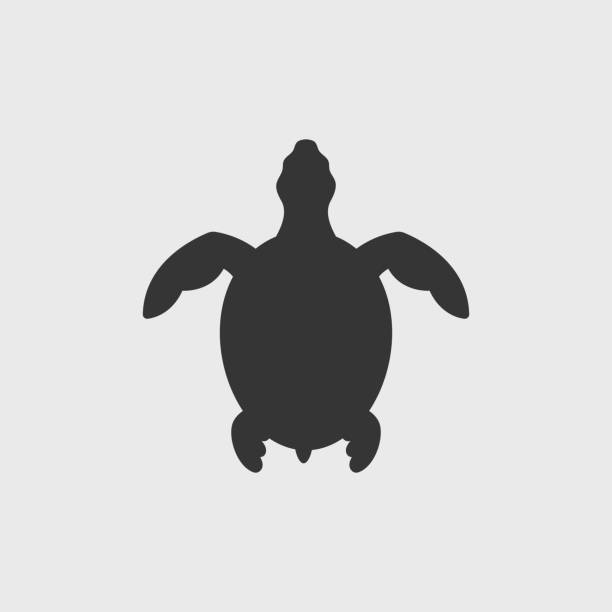 Sea Turtle Silhouette Sea turtle silhouette vector illustration sea turtle clipart stock illustrations