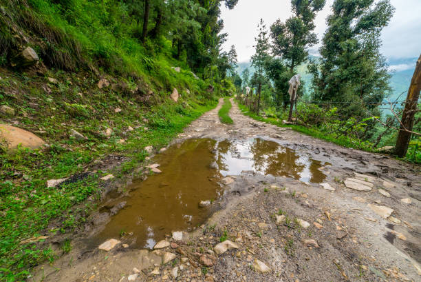 istock Muddy road leading into the distant rural landscape with plants 1128927630