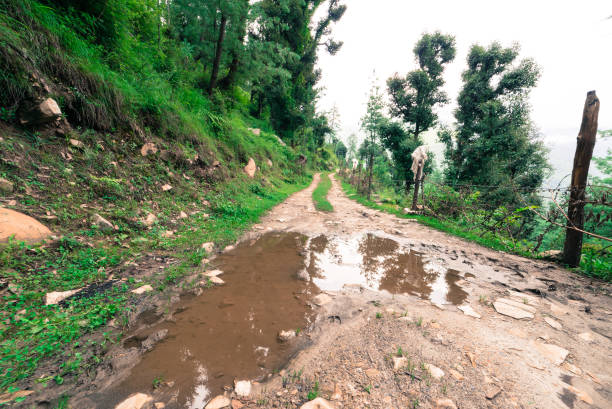 istock Muddy road leading into the distant rural landscape with plants 1128927682