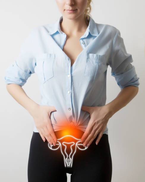 visualisation of genito-urinary system on woman body visualisation of genito-urinary system on woman body / inflammation / infection fallopian tube stock pictures, royalty-free photos & images