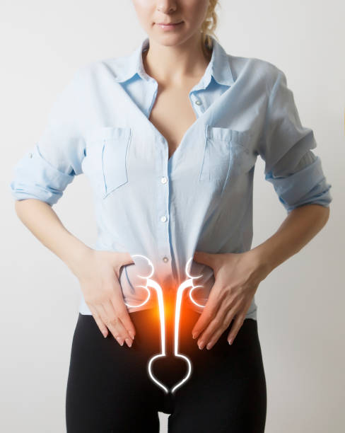 woman figure with visualisation of kidneys and bladder woman figure with visualisation of kidneys and bladder / infection / inflammation ureter stock pictures, royalty-free photos & images