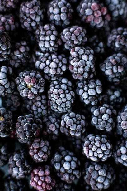istock Blackberry fruits. Food background. 1128932976