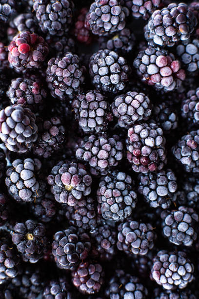 istock Blackberries with frost. Food background. Close up. 1128932981