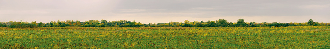Panorama of a large autumn meadow on a cloudy day