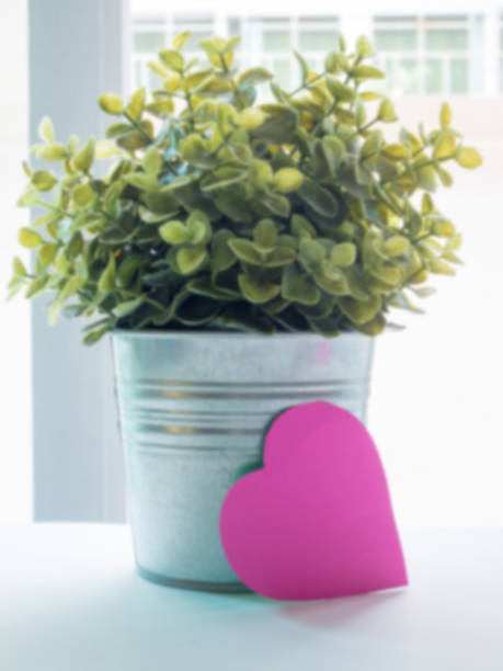 istock flowerpot blur and paper heart 1128938763