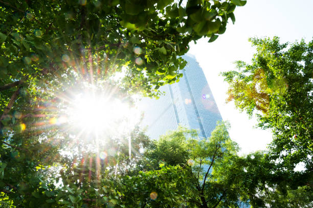 istock Modern office building and green leaves 1128940208