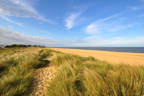 Beach seascape Marram grass growing on sand dunes with the town of Southwold in Suffolk in the background southwold stock pictures, royalty-free photos & images