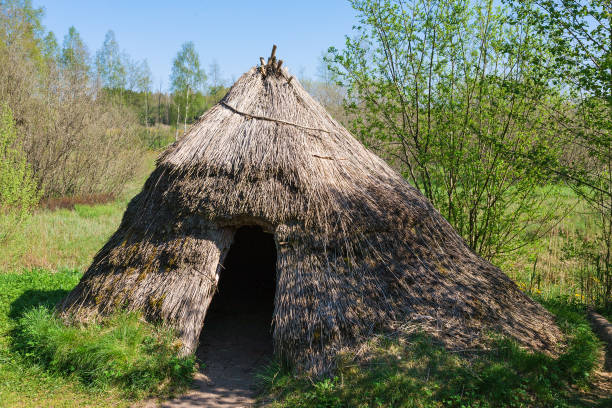 Grass hut on the meadow Grass hut on the meadow stone age stock pictures, royalty-free photos & images