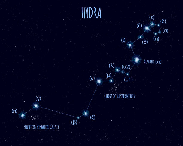 Hydra constellation, vector illustration with the names of basic stars Hydra constellation, vector illustration with the names of basic stars against the starry sky snake names stock illustrations