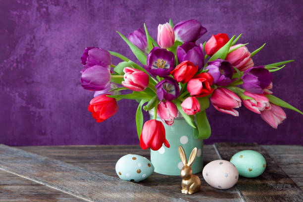 Colorful tulips in spring stock photo