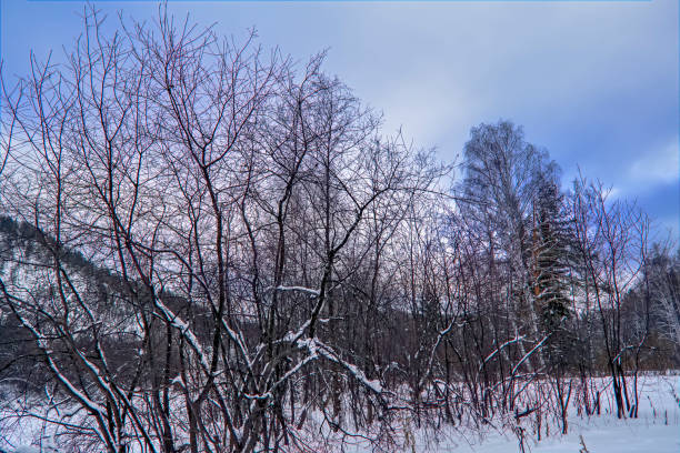 istock Winter landscape the river in the forest at sunset 1128954663