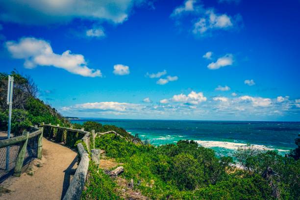 istock Wonderful view on the beach and ocean in Australia 1128959357