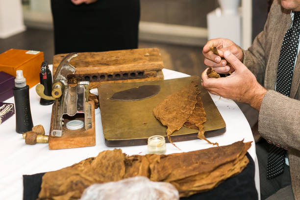 process of making traditional cigars from tobacco leaves using a mechanical device and press. leaves of tobacco for making cigars. - cigarette wrapping imagens e fotografias de stock