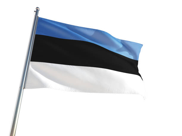 에스토니아의 국기는 바람에 흰색 배경에 고립. 높은 정의 - estonia flag pennant baltic countries 뉴스 사진 이미지