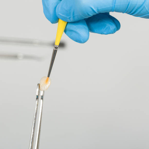 istock Painting work at artificial dentition in a dental laboratory 1128962483