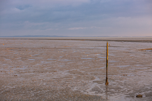 Looking out to sea at low tide at sunset, with a post marker in the foreground