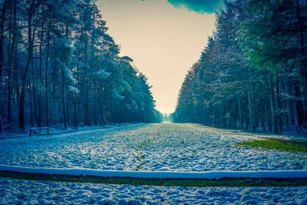 Picture shows a wonderful landscape view in winter in Germany.