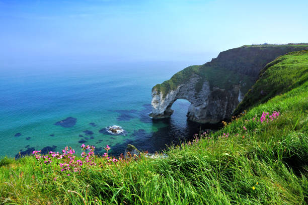 арка белого камня, побережье мэуэй, северная ирландия - portrush стоковые фото и изображения