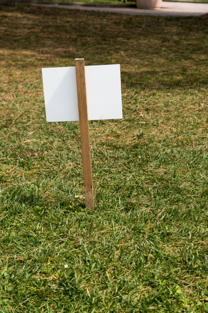 istock BackCartel in the meadow 1128967783