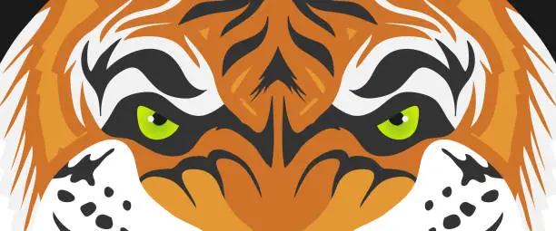 Vector illustration of Tiger eyes, realistic tiger eyes. Cartoon face of a tiger. Vector.